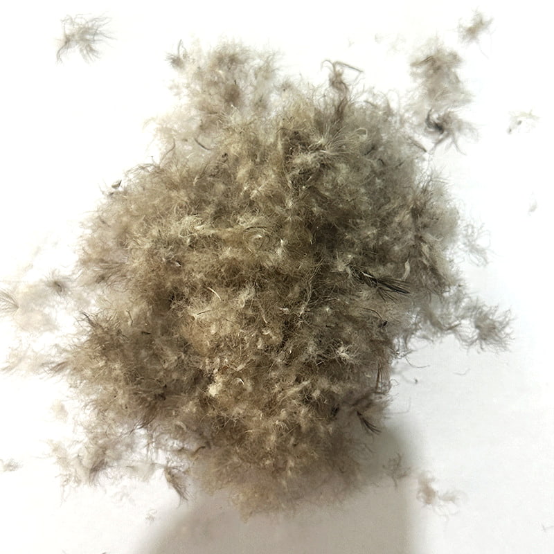 80% duvet de canard gris 80% duvet de canard gris