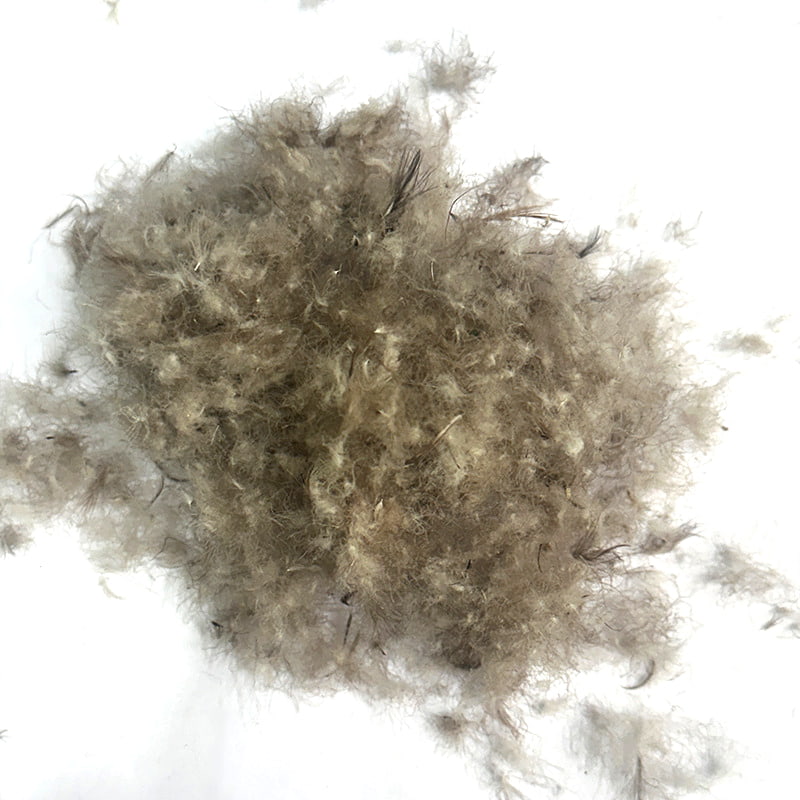 80% duvet de canard gris 80% duvet de canard gris