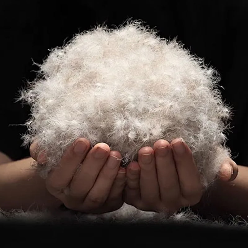 80% duvet de canard gris 80% duvet de canard gris