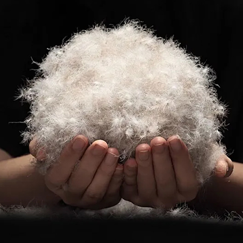 90 % duvet de canard gris