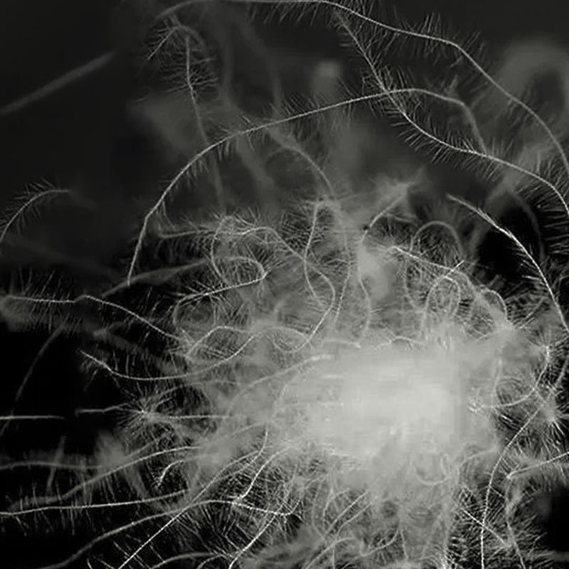 80% duvet de canard gris 80% duvet de canard gris