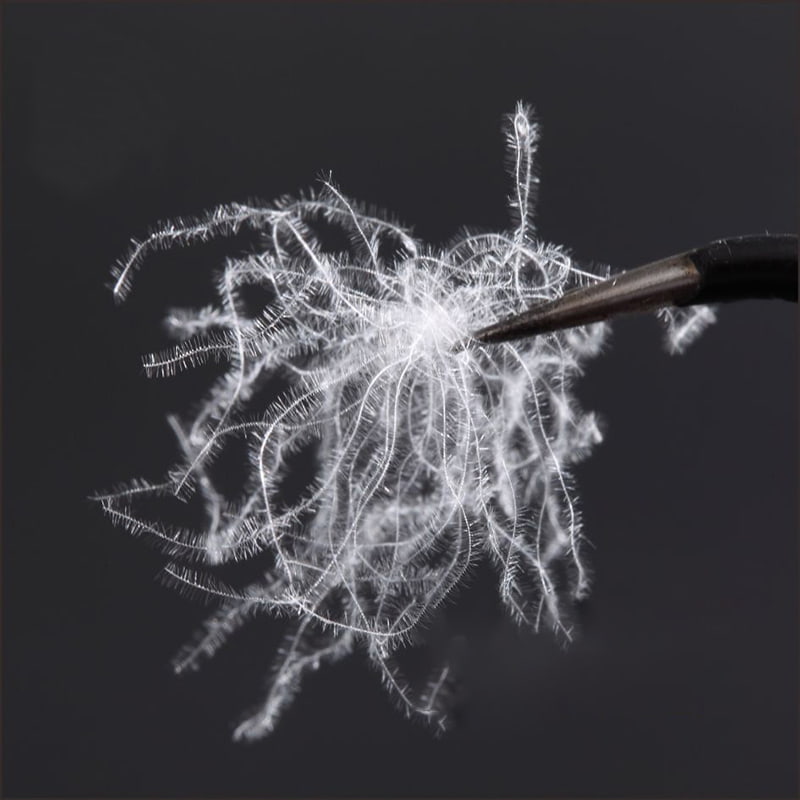 80 % duvet de canard blanc pur.